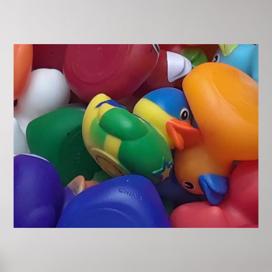 Poster Photo de Canards Ken Gage (Devant)