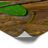 Poster photo de champignons (Coin)