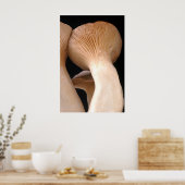 Poster Photo de champignons de trompette royale (Cuisine)