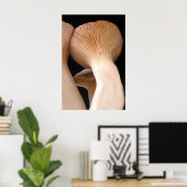 Poster Photo de champignons de trompette royale (Bureau à domicile)