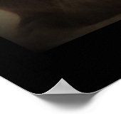 Poster Photo de chat Maine Coon (Coin)