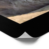 Poster Photo de chat Maine Coon (Coin)