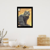 Poster Photo de chat Maine Coon (Cuisine)