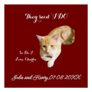 Poster Photo de chat roux de mariage Texte Personnaliser