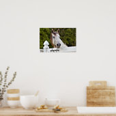 Poster Photo de Cheval Blanc (Cuisine)