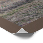 Poster Photo de chèvre (Coin)