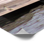 Poster photo de chien (Coin)