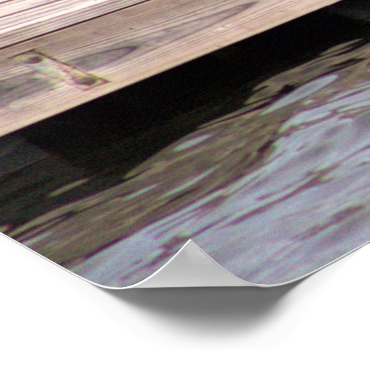 Poster photo de chien (Coin)