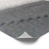 Poster Photo de chien blanc avec queue sur le visage gris (Coin)