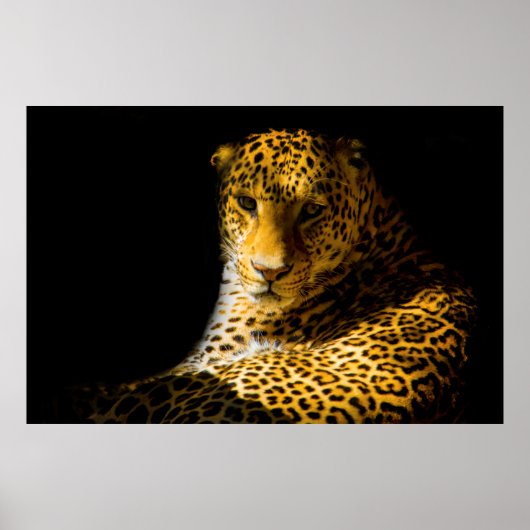 POSTER PHOTO DE CLOSEUP DE LEOPARD (Devant)