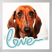 Photo de compagnie personnalisée avec LOVE en typo