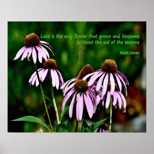 Poster Photo de confleur violet avec citation de Khalil G (Devant)