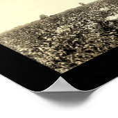 Poster Photo de cueillette de coton 1917 (Coin)