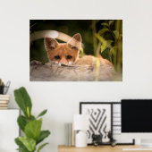 Poster Photo de Cute Little Orange Fox (Bureau à domicile)