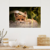 Poster Photo de Cute Little Orange Fox (Cuisine)