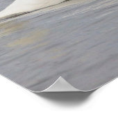 Poster Photo de cygne (Coin)