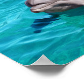 Poster Photo de dauphin dans l'eau bleue (Coin)