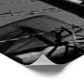 Poster photo de desilva (Coin)