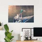 Poster photo de Duck Nature (Bureau à domicile)