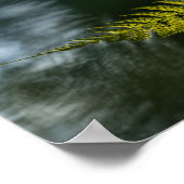 Poster Photo de Fern Nature (Coin)