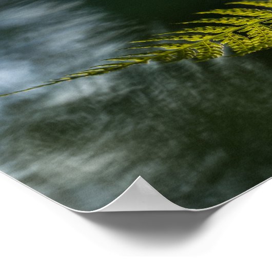 Poster Photo de Fern Nature (Coin)