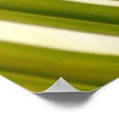 Poster Photo de feuille de palmier (Coin)