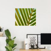 Poster Photo de feuille de palmier (Bureau à domicile)