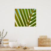 Poster Photo de feuille de palmier (Cuisine)
