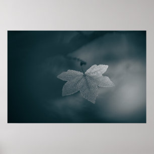 Poster Photo de feuille d'érable monochrome stylisée de l