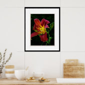 Poster Photo de fleur de lièvre (Cuisine)