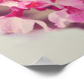 Poster Photo de fleurs d'arbre rose (Coin)