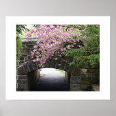 Poster Photo de fleurs de cerisier et d'un pont en pierre (Devant)