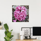 Poster photo de fleurs de jacinthe rose (Bureau à domicile)
