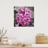 Poster photo de fleurs de jacinthe rose (Cuisine)