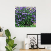 Poster Photo de fleurs de lavande (Bureau à domicile)