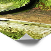 Poster Photo de fond du toit de bardeaux vert (Coin)