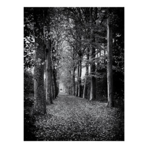 Poster Photo de forêt en noir et blanc charmante