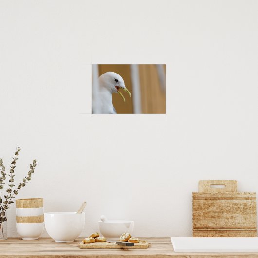 Poster photo de goéland (Cuisine)