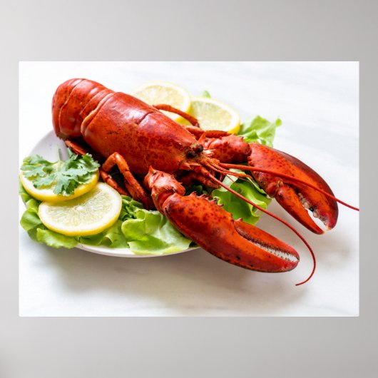 Poster Photo de homard (Devant)