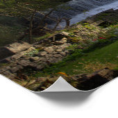 Poster photo de la cascade de New York (Coin)