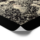 Poster Photo de la culture de coton Billion de dollars 19 (Coin)