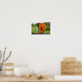 Poster Photo de la faune africaine des éléphants (Cuisine)