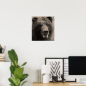 Poster Photo de la faune de l'ours grizzli Brown (Bureau à domicile)