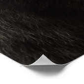 Poster Photo de la faune de l'ours grizzli Brown (Coin)