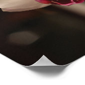 Poster Photo de la fleur d'orchidée blanche et rose (Coin)