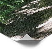 Poster photo de la forêt (Coin)