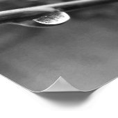 poster photo de la goutte d'eau noire et blanche (Coin)