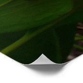 Poster Photo de la grande nature rose et blanche des fleu (Coin)