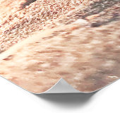 Poster photo de la mer Coquille de mer Calm Sand B (Coin)