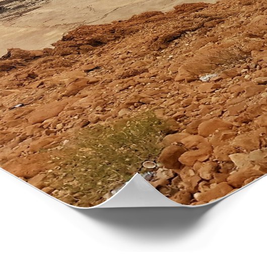 Poster Photo de la mer morte (Coin)